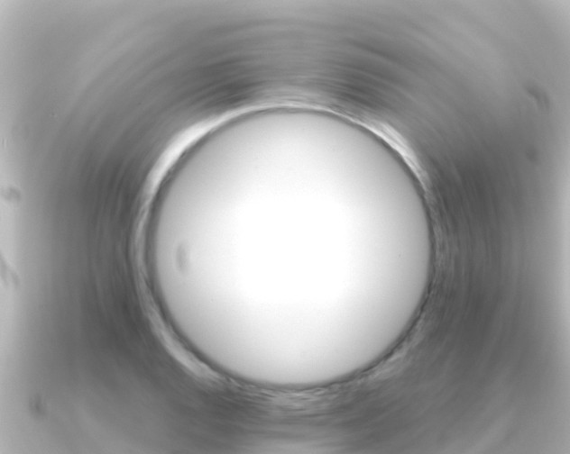 X0000091241128200708091126
