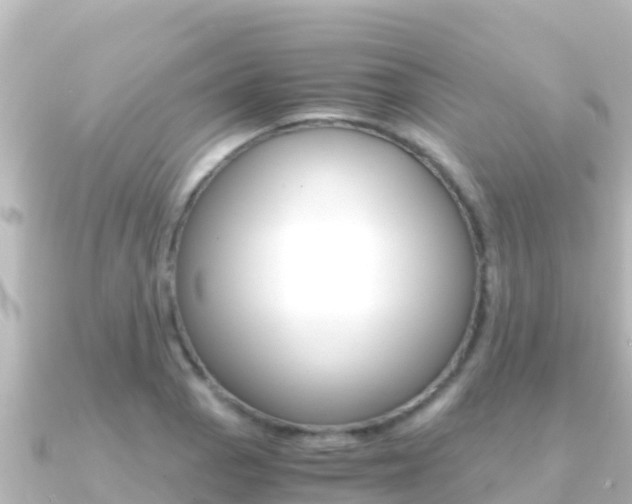 X0000091241129200708091126