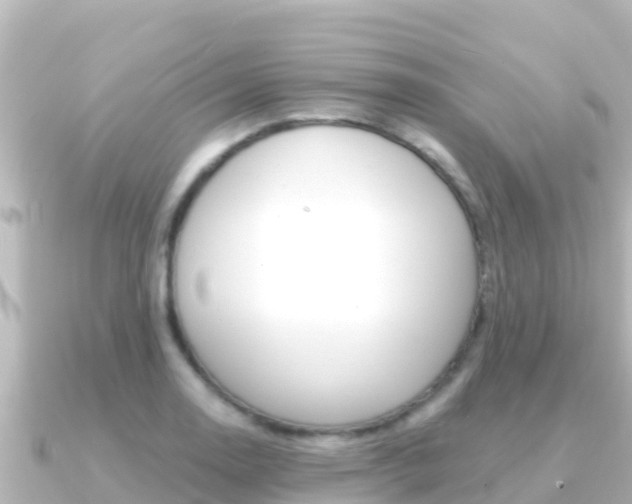 X0000091241130200708091126