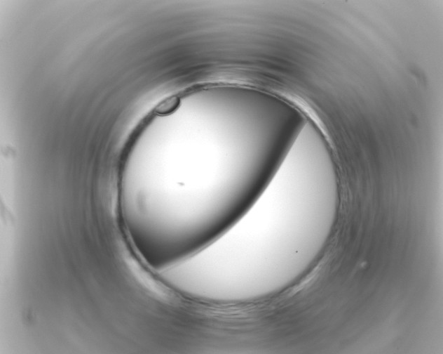 X0000091241131200708091126