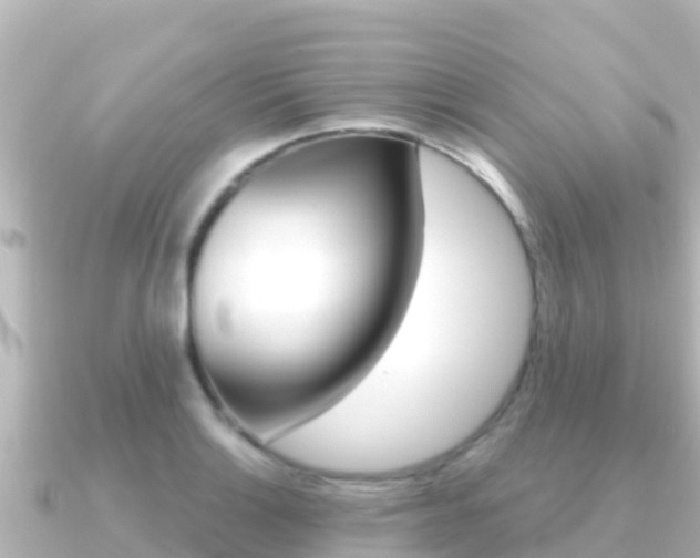 X0000091241132200708091126