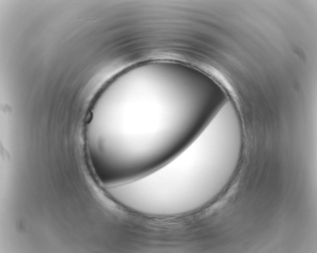 X0000091241133200708091126
