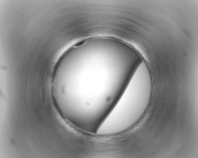 X0000091241134200708091126