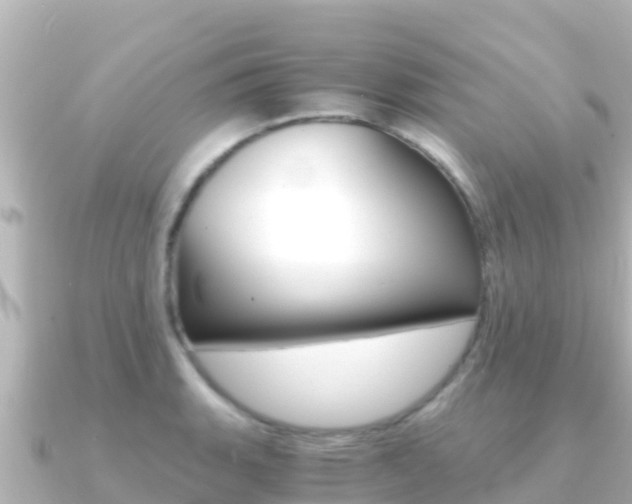X0000091241135200708091126