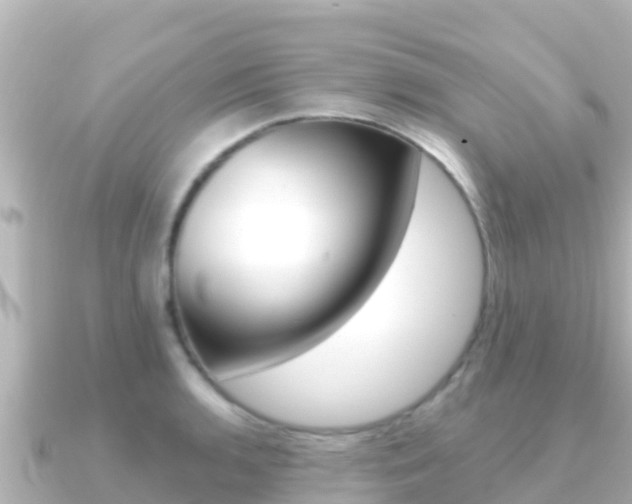 X0000091241136200708091126