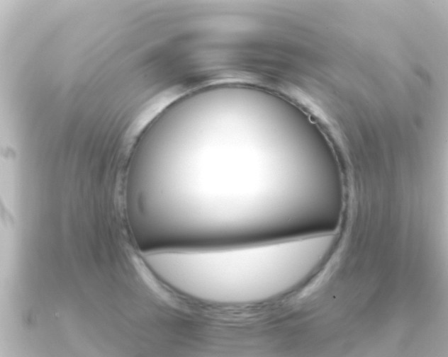 X0000091241137200708091126