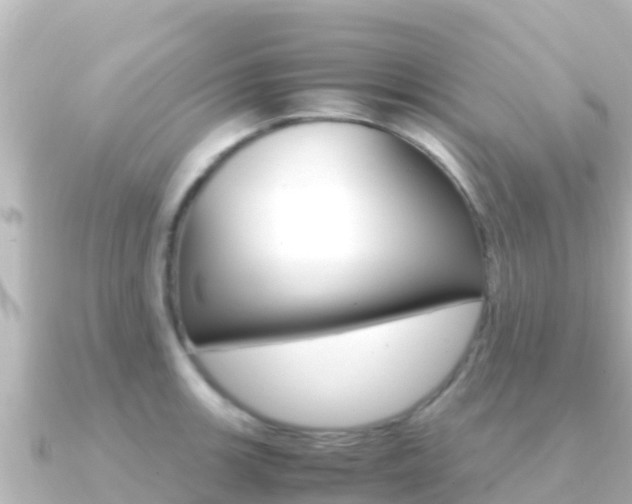 X0000091241139200708091126