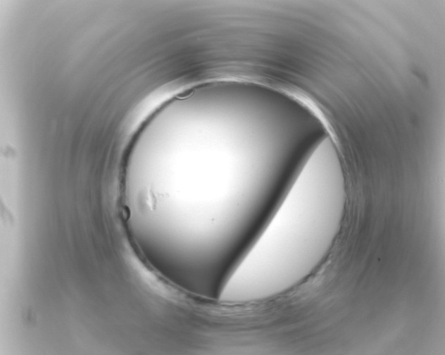 X0000091241147200708091126