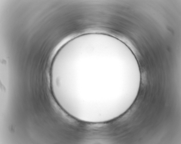 X0000091241150200708091126
