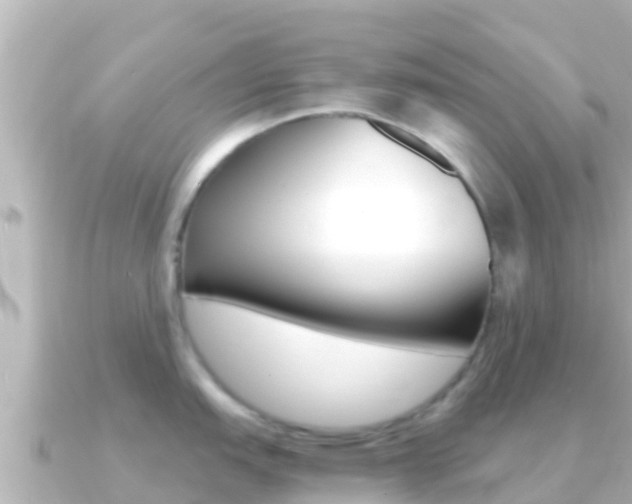X0000091241151200708091126