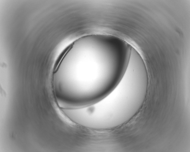 X0000091241152200708091126