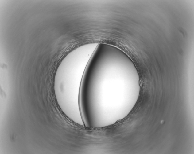 X0000091241153200708091126