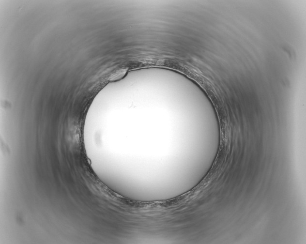 X0000091241154200708091126