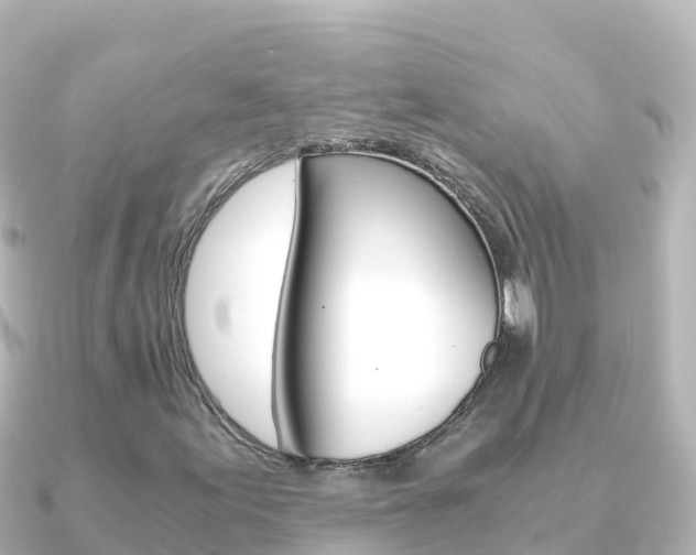 X0000091241155200708091126