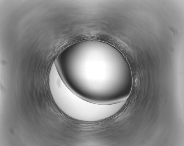 X0000091241156200708091126