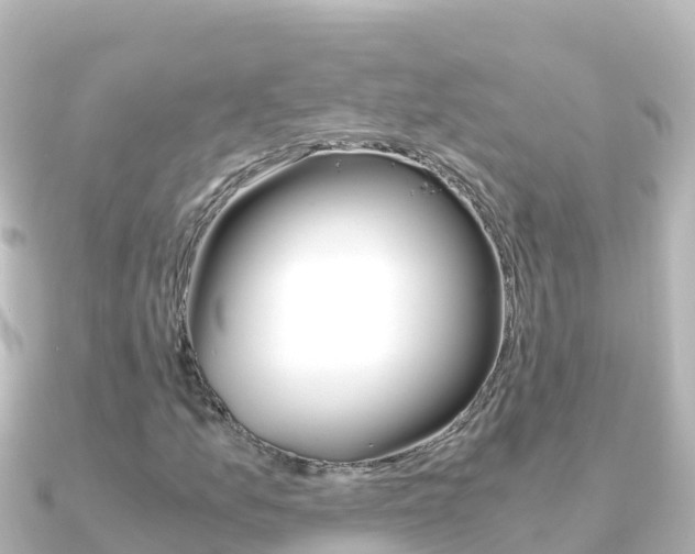 X0000091241157200708091126