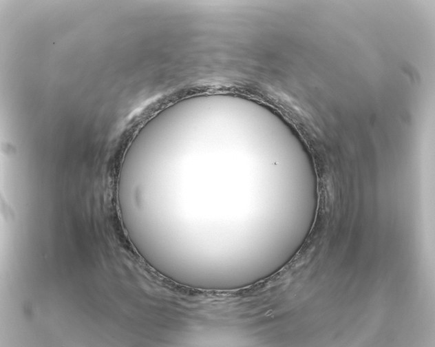 X0000091241158200708091126