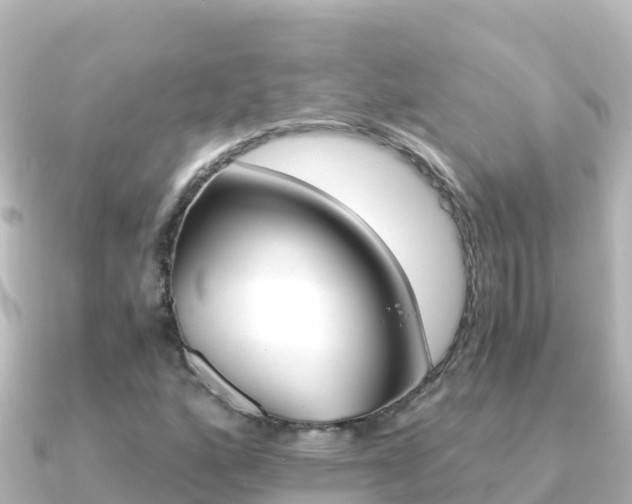 X0000091241160200708091126