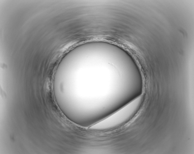X0000091241161200708091126