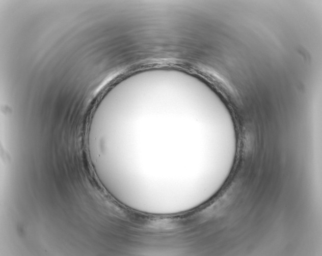 X0000091241162200708091126