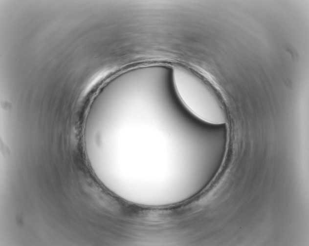 X0000091241163200708091126