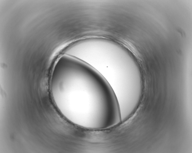 X0000091241164200708091126