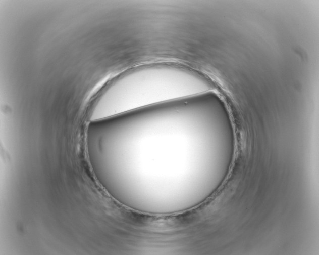 X0000091241165200708091126