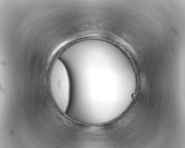 X0000091241166200708091126