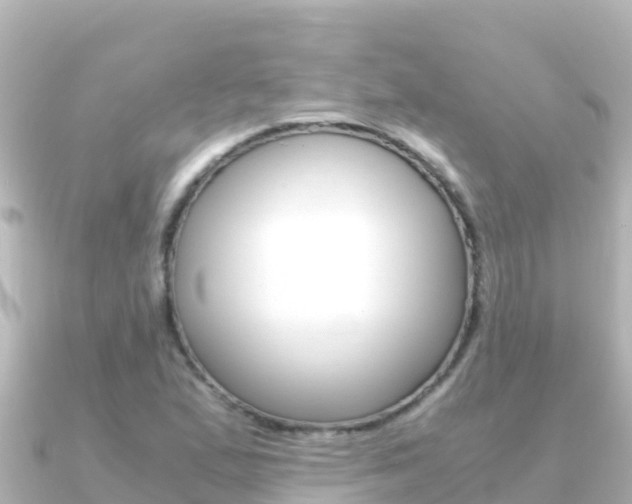 X0000091241167200708091126
