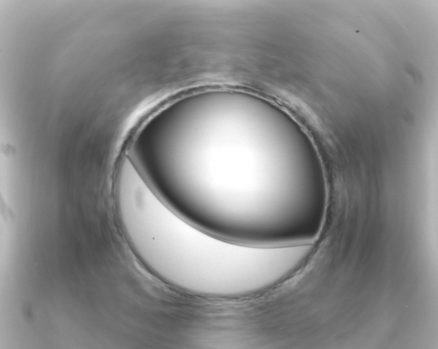 X0000091241168200708091126