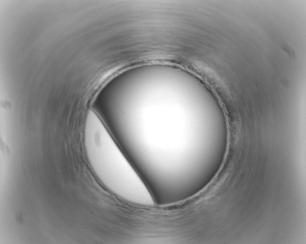 X0000091241169200708091126