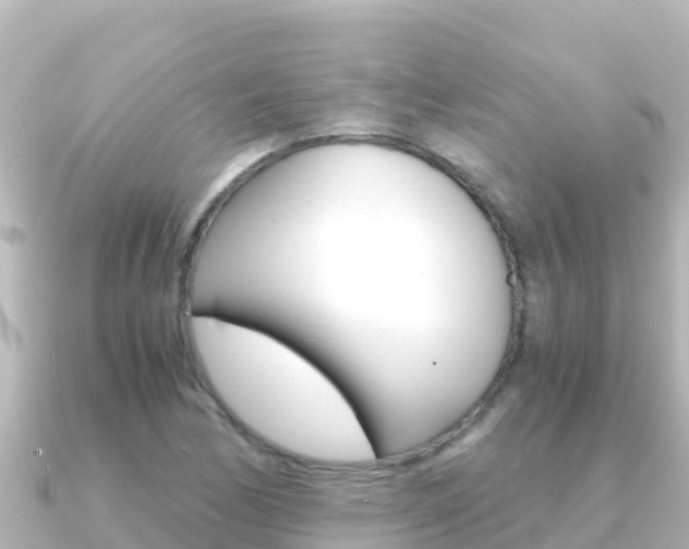 X0000091241170200708091126