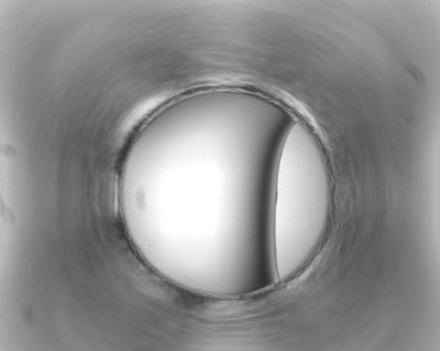 X0000091241171200708091126