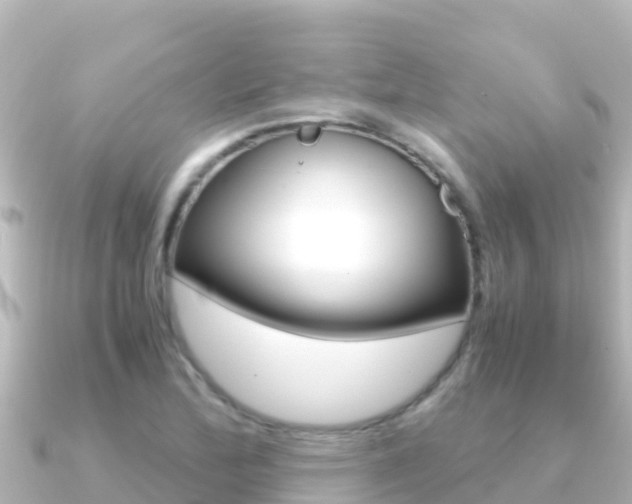 X0000091241172200708091126