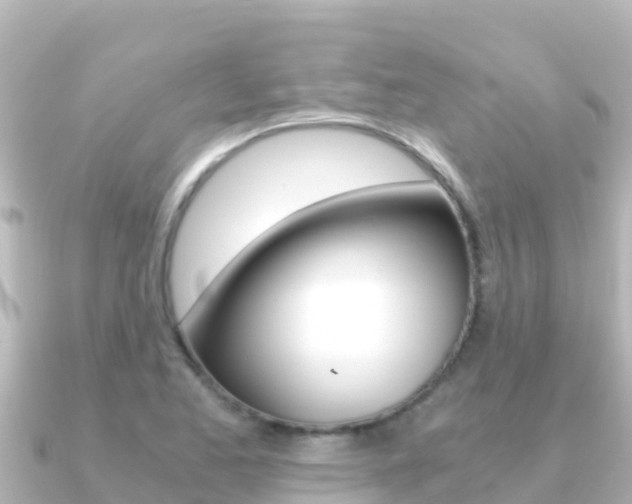 X0000091241173200708091126