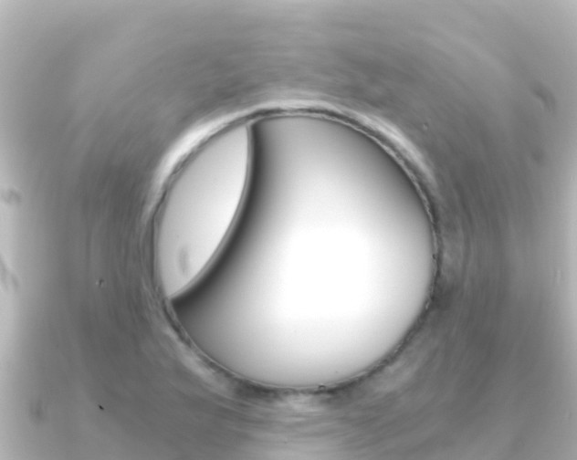 X0000091241175200708091126