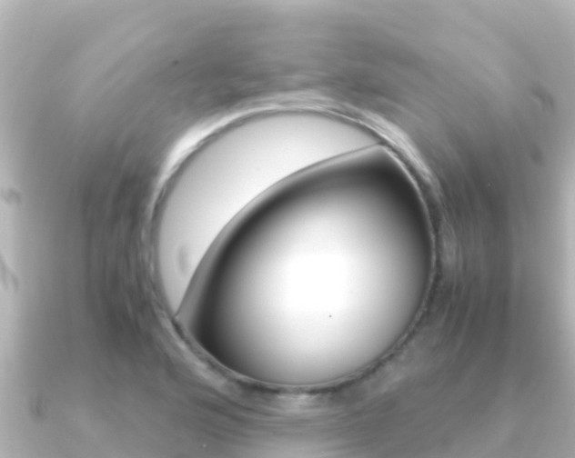 X0000091241176200708091126