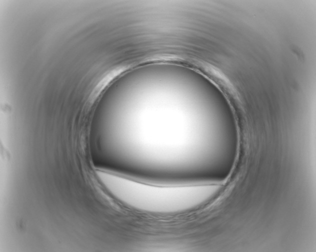 X0000091241177200708091126