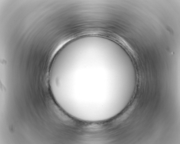 X0000091241178200708091126