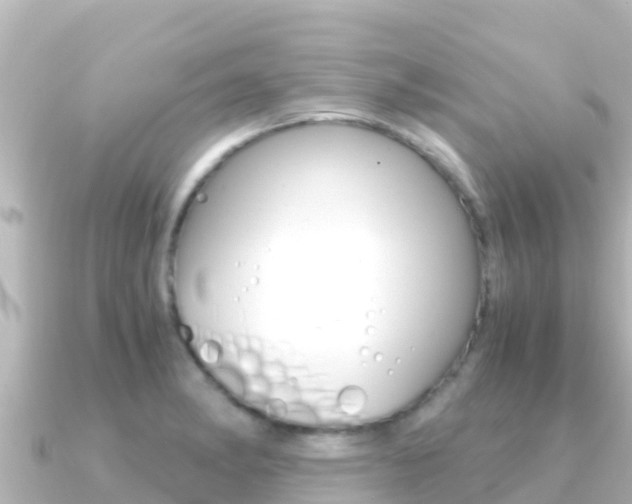 X0000091241182200708091126