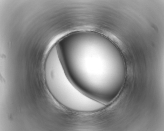 X0000091241184200708091126