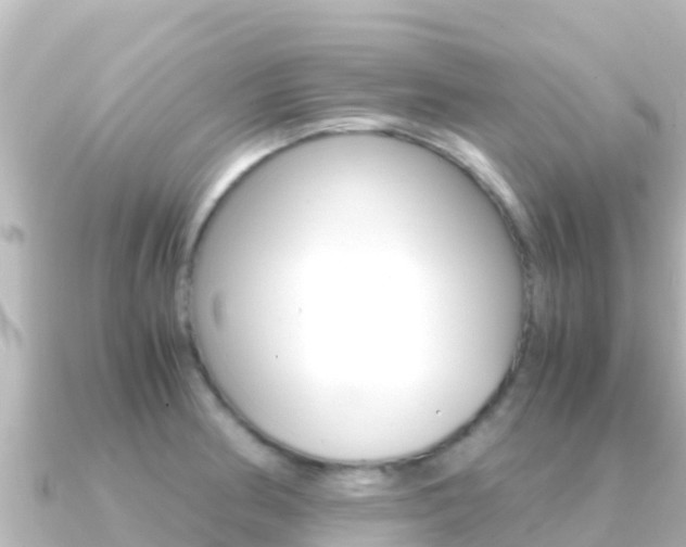 X0000091241186200708091125