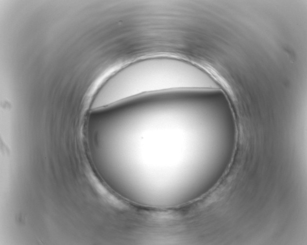 X0000091241189200708091125