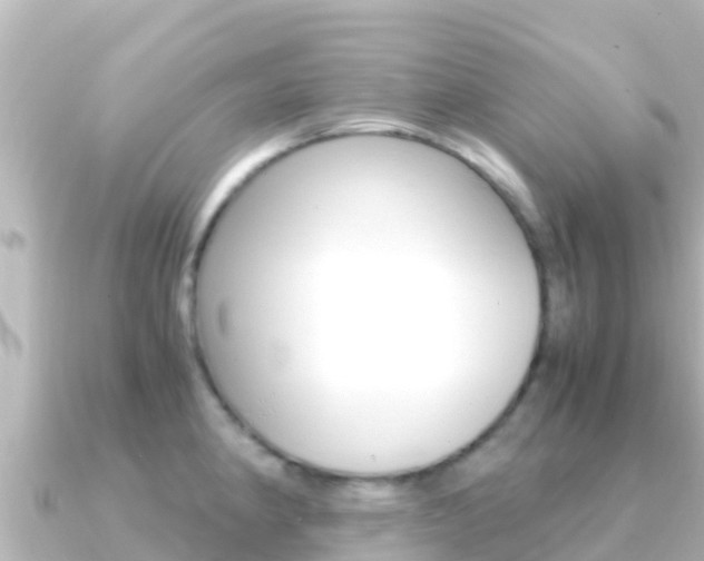 X0000091241190200708091125