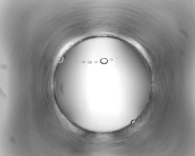 X0000091241191200708091125