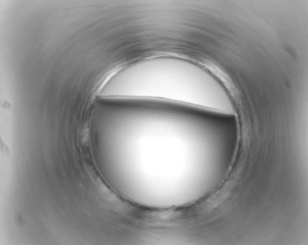 X0000091241193200708091125