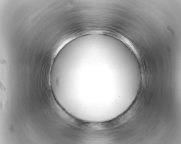 X0000091241194200708091125