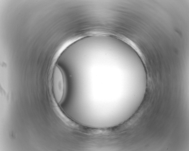 X0000091241195200708091125