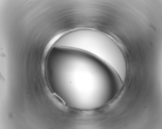 X0000091241196200708091125