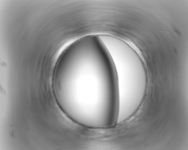 X0000091241197200708091125